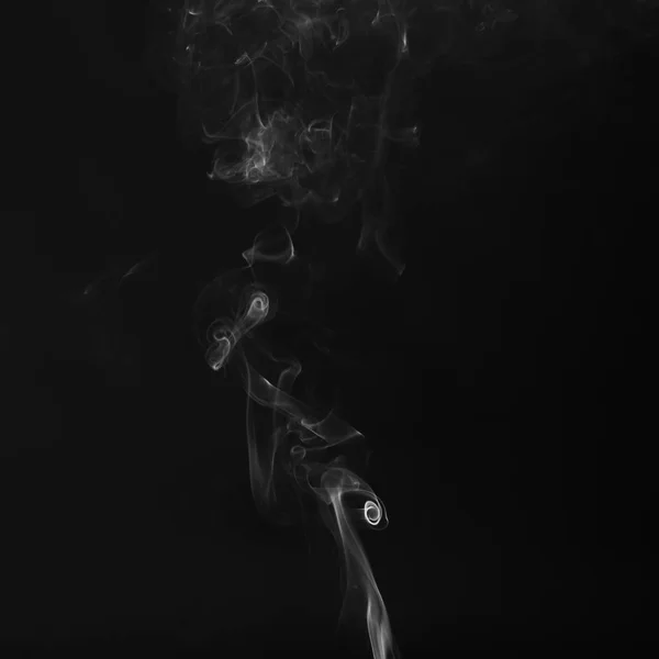 Mooie Witte Rook Zwarte Achtergrond — Stockfoto