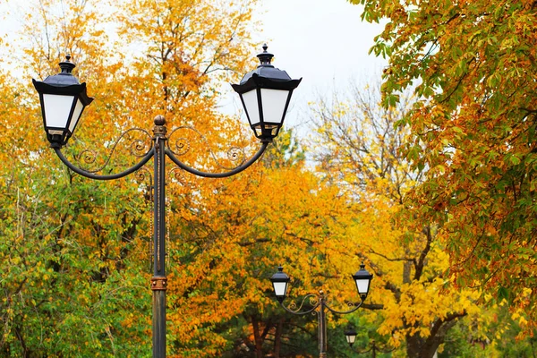Street lamp in the autumn park. Black lamp post close up on autu