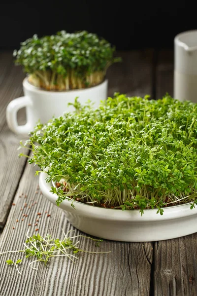 Close-up van waterkers salade microgreens, groene bladeren en stengels — Stockfoto