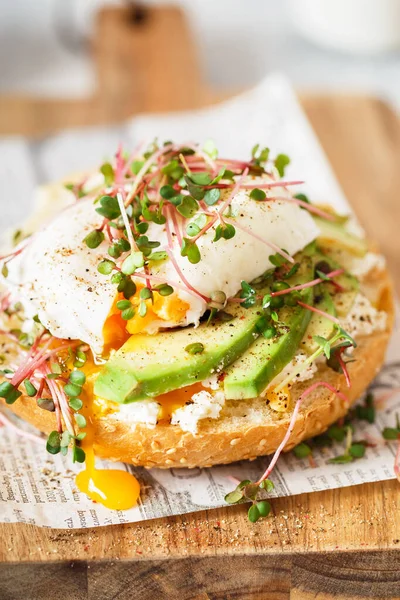 Poached egg with avocado, ricotta cheese and radish sprouts on b