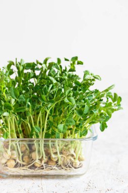 Tohumları ve kökleri olan bezelye mikroçerezlerine yakın çekim. Yayılan Mikrofon