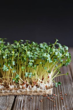 Daikon mikroyeşilliklerinin Jute üzerinde tohumları ve kökleri var. 