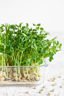 Close-up of peas microgreens with seeds and roots. Sprouting Mic clipart