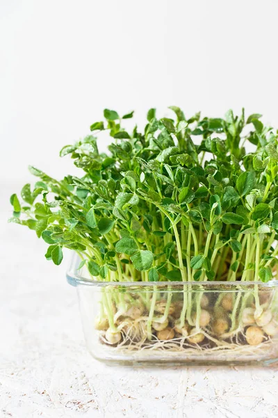 Close-up van erwten microgreens met zaden en wortels. Sprouting Mic — Stockfoto