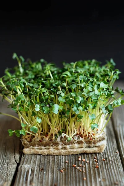 Primer plano de Daikon microgreens con semillas y raíces en el yute — Foto de Stock