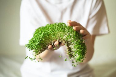 mikroyeşil filizler çocukların ellerinde çiğ lahanalar, mikroçimler, şifa