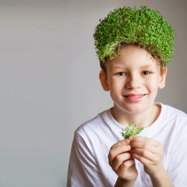 Un chico con el pelo de microgreens. Concepto de alimentos veganos saludables. Lindo. —  Fotos de Stock