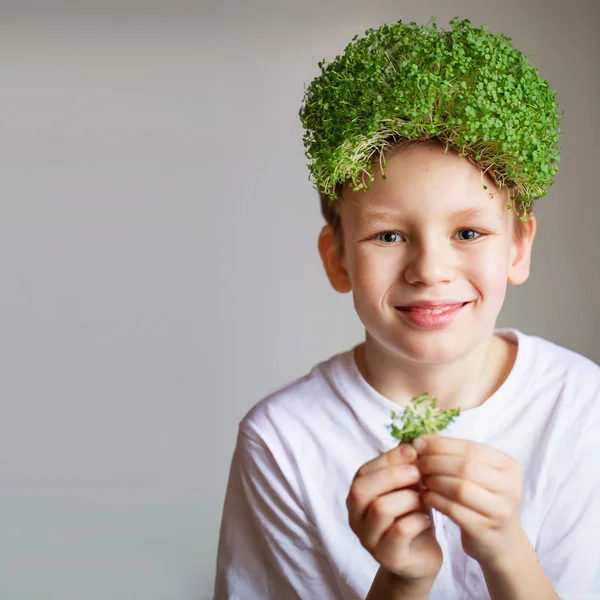 Jongen met microgroen haar. Gezond veganistisch voedselconcept. Schattig. — Stockfoto