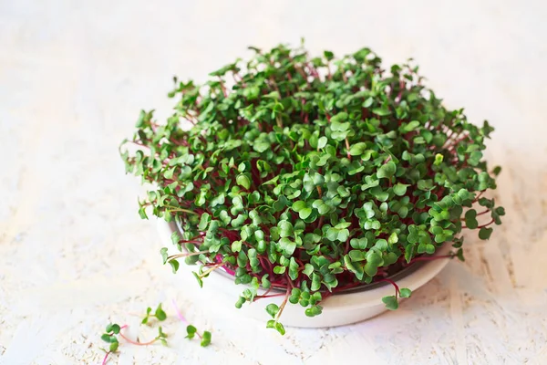 Rauw Microgroen Verkwikkende Microgreens Zaadkieming Thuis Veganistisch Gezond Eetconcept Trotse — Stockfoto