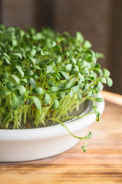 Fenugreek Microgreens Menumbuhkan Microgreens Trigonella Foenum Graecum Vegan Dan Sehat — Stok Foto