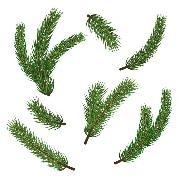 Pine Christmas tree branches for winter holiday decoration. Big vector stock set of realistic spruce, fir tree branches isolated on white background — Stock Vector