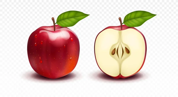 3D realistisk vektor transparent isolerad vektor set, hel och skiva av rött äpple, glans polerat äpple med ett blad. — Stock vektor