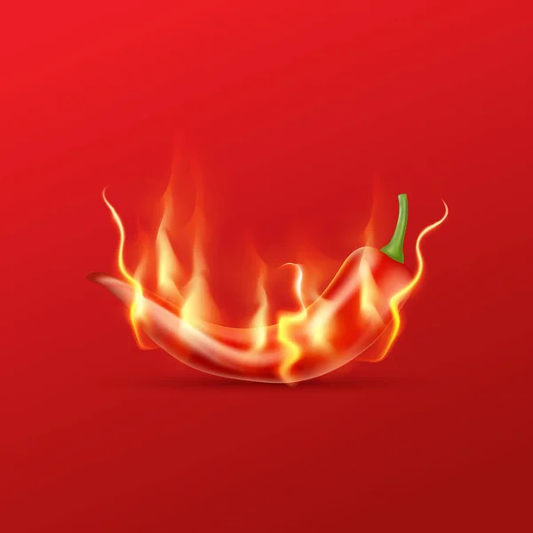 Red Hot Chili Pepper Flame Red Background Hot Spicy Food — Stock Vector