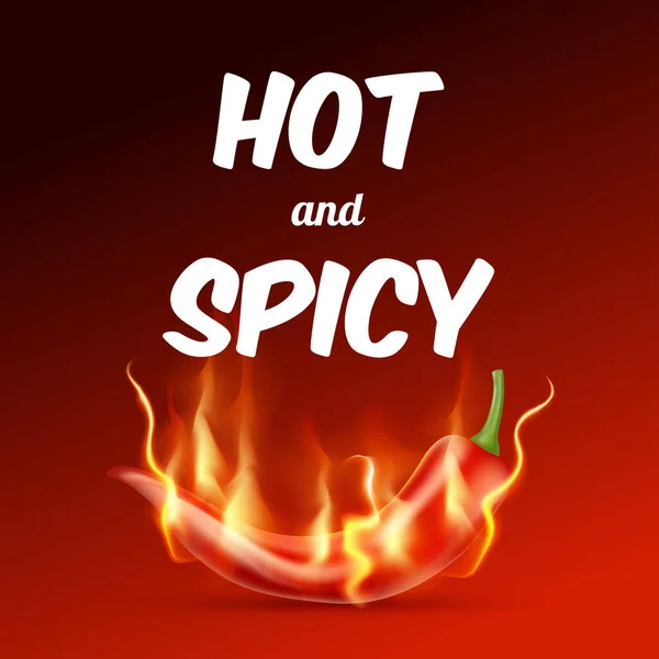 Red Hot Chilli Paprika Plamenem Červeném Pozadí Horké Kořeněné Jídlo — Stockový vektor