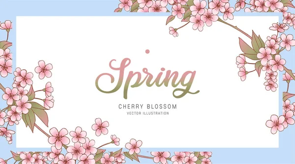 Floral Greeting Card Cherry Bloillustration Spring Flower Background Poster Banner — 스톡 사진