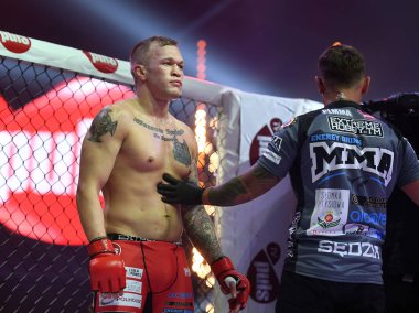 Karışık dövüş sanatları mücadele gece Mma