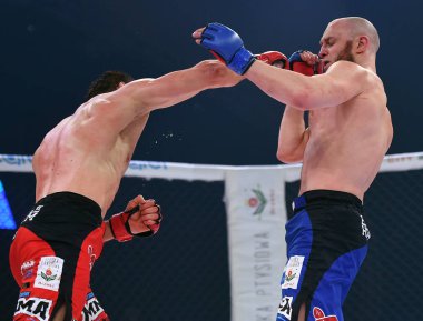 Karışık dövüş sanatları mücadele gece Mma 