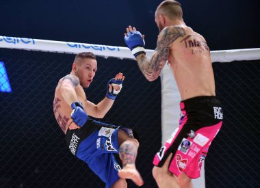 Karışık dövüş sanatları mücadele gece Mma 