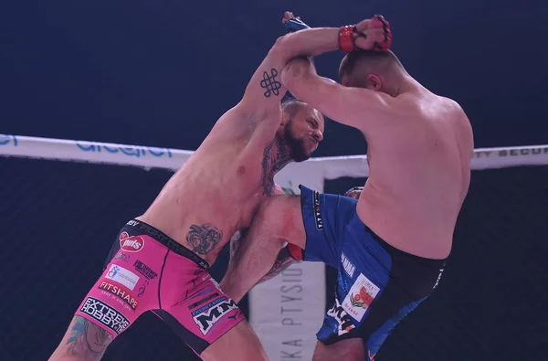 Karışık dövüş sanatları mücadele gece Mma 