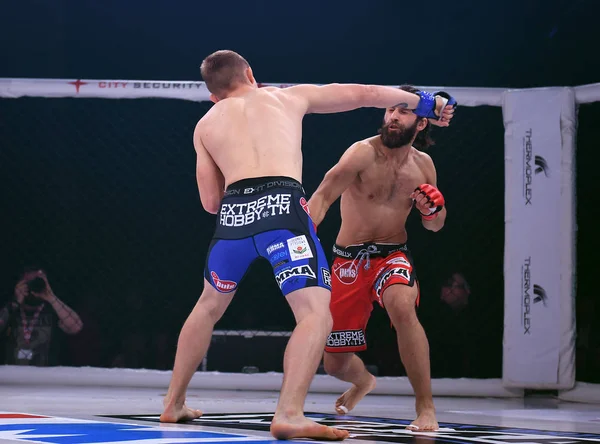 Karışık dövüş sanatları mücadele gece Mma 