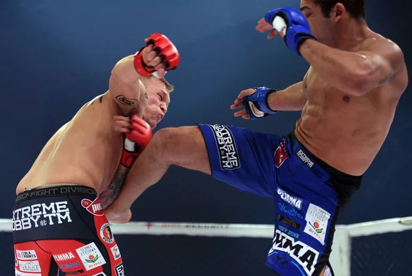 Karışık dövüş sanatları mücadele gece Mma