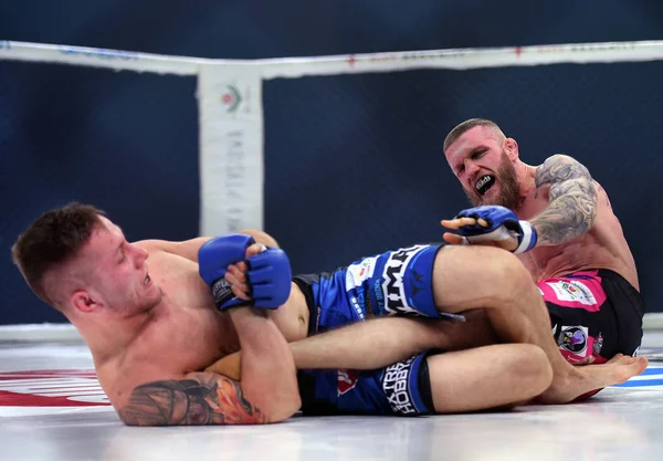 Karışık dövüş sanatları mücadele gece Mma 