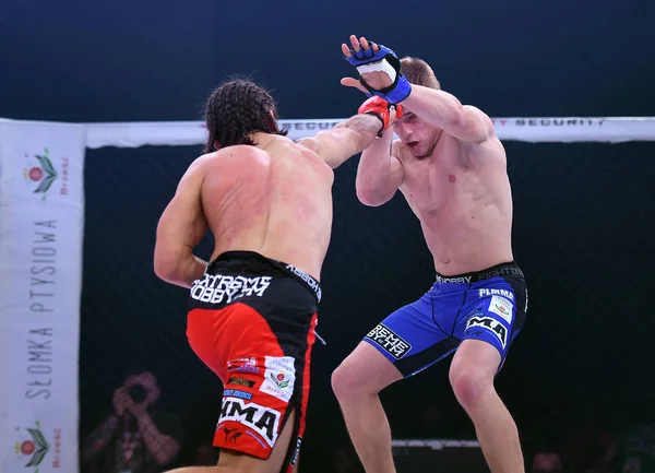 Karışık dövüş sanatları mücadele gece Mma 