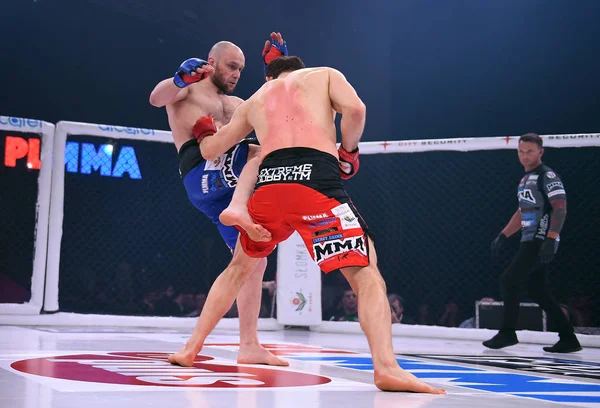 MMA smíšená bojová umění boje v noci — Stock fotografie