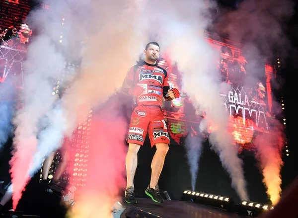 Karışık dövüş sanatları mücadele gece Mma