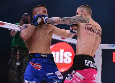 Karışık dövüş sanatları mücadele gece Plmma