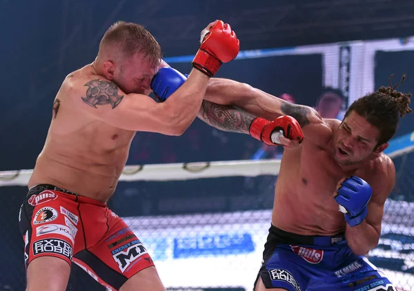 PLMMA mized artes marciales lucha noche —  Fotos de Stock