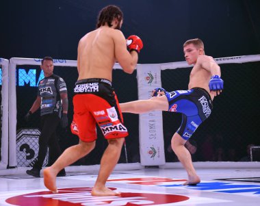 Karışık dövüş sanatları mücadele gece Plmma