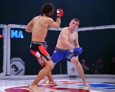 Karışık dövüş sanatları mücadele gece Plmma