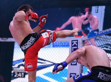 Karışık dövüş sanatları mücadele gece Plmma