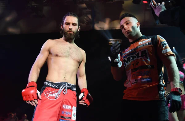 Karışık dövüş sanatları mücadele gece Plmma