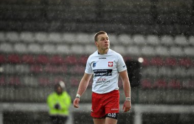 Polonya - İsviçre rugby uluslararası Kupası