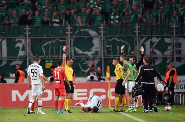 Ekstra Lig Polonya Premier Futbol Ligi