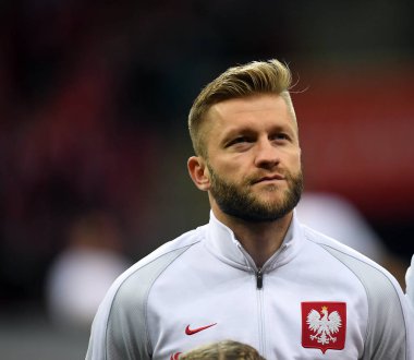 Polonya - Karadağ Rusya 2018 Elemeleri