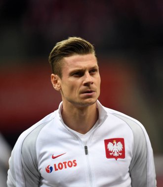 Polonya - Karadağ Rusya 2018 Elemeleri