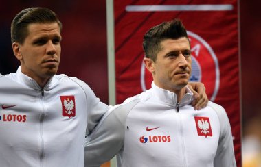 Polonya - Karadağ Rusya 2018 Elemeleri