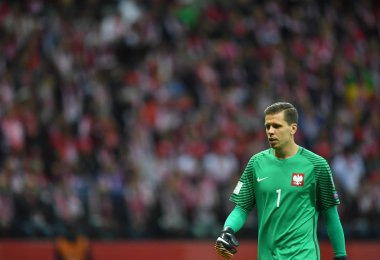 Polonya - Karadağ Rusya 2018 Elemeleri