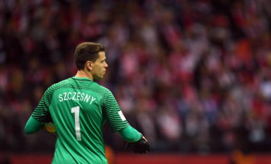 Polonya - Karadağ Rusya 2018 Elemeleri