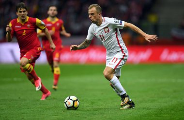 Polonya - Karadağ Rusya 2018 Elemeleri