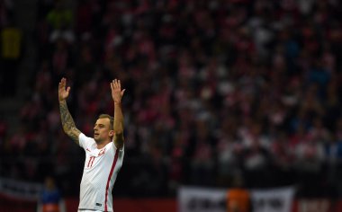 Polonya - Karadağ Rusya 2018 Elemeleri