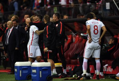 Polonya - Karadağ Rusya 2018 Elemeleri