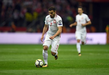 Polonya - Karadağ Rusya 2018 Elemeleri