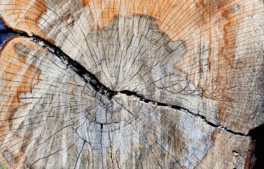 Varşova, Polonya, 15 Mayıs 2020: COVID-19 salgını sırasında Varşova, tahta bloklar