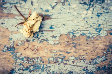 Eski bir boyalı ahşap arka plan üzerinde solmuş gül