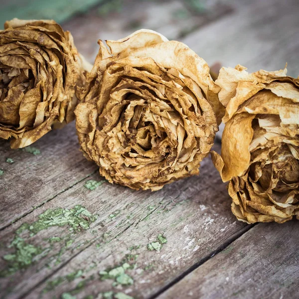 Bleka rosor på en gammal målad trä bakgrund — Stockfoto