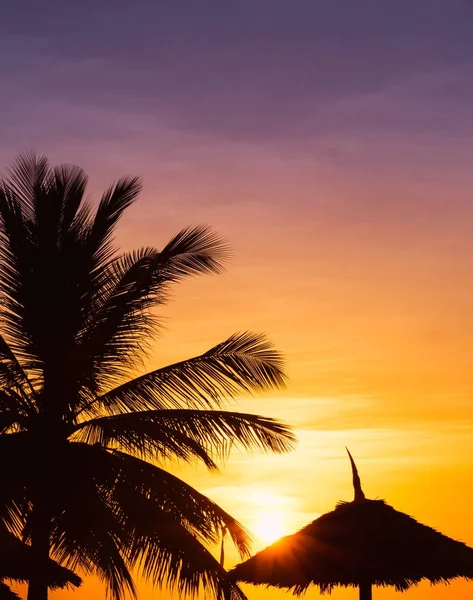 Dark silhouettes of coconut palm trees and the beach umbrella — Stock Photo, Image